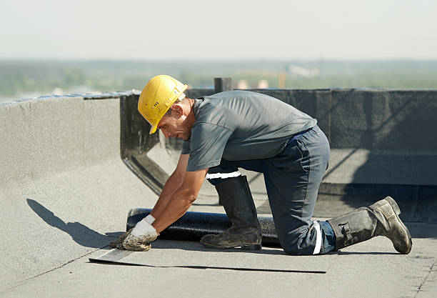 Best Specialized Insulation Services in Charleston, MS